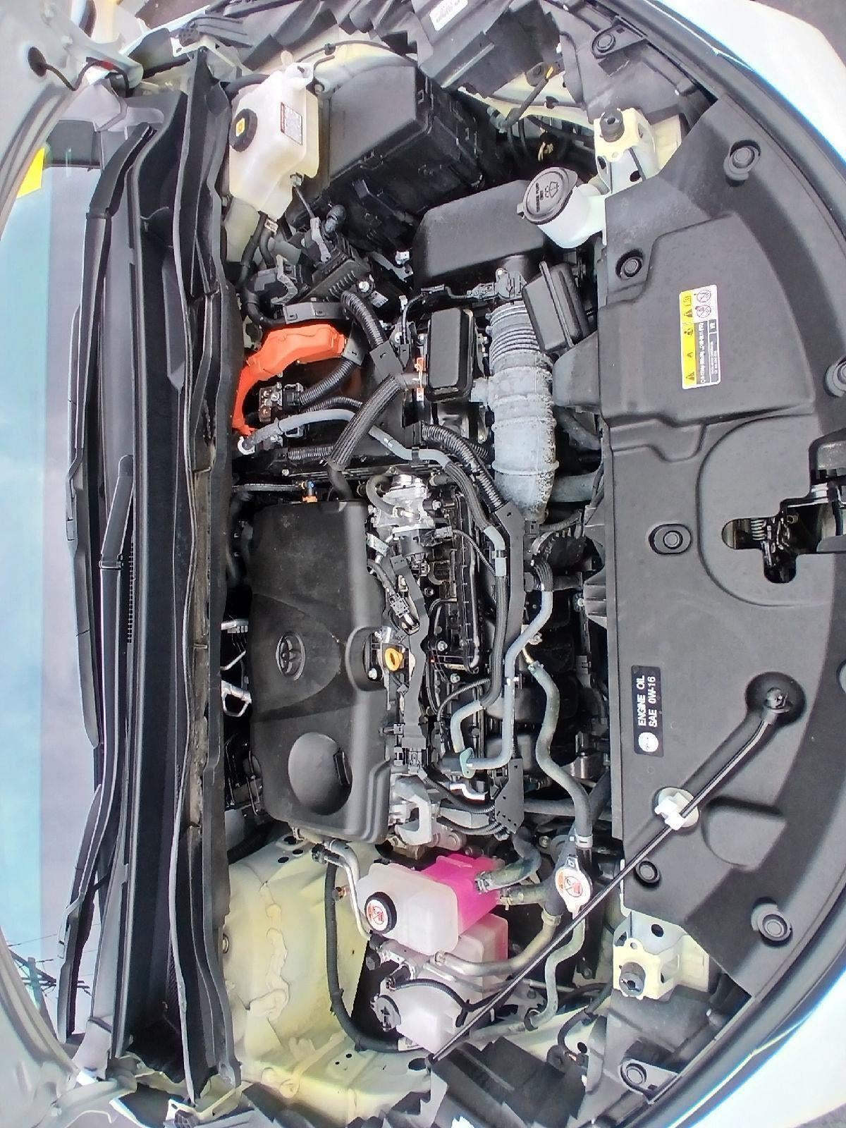 2023 Toyota Sienna XLE 7-Passenger