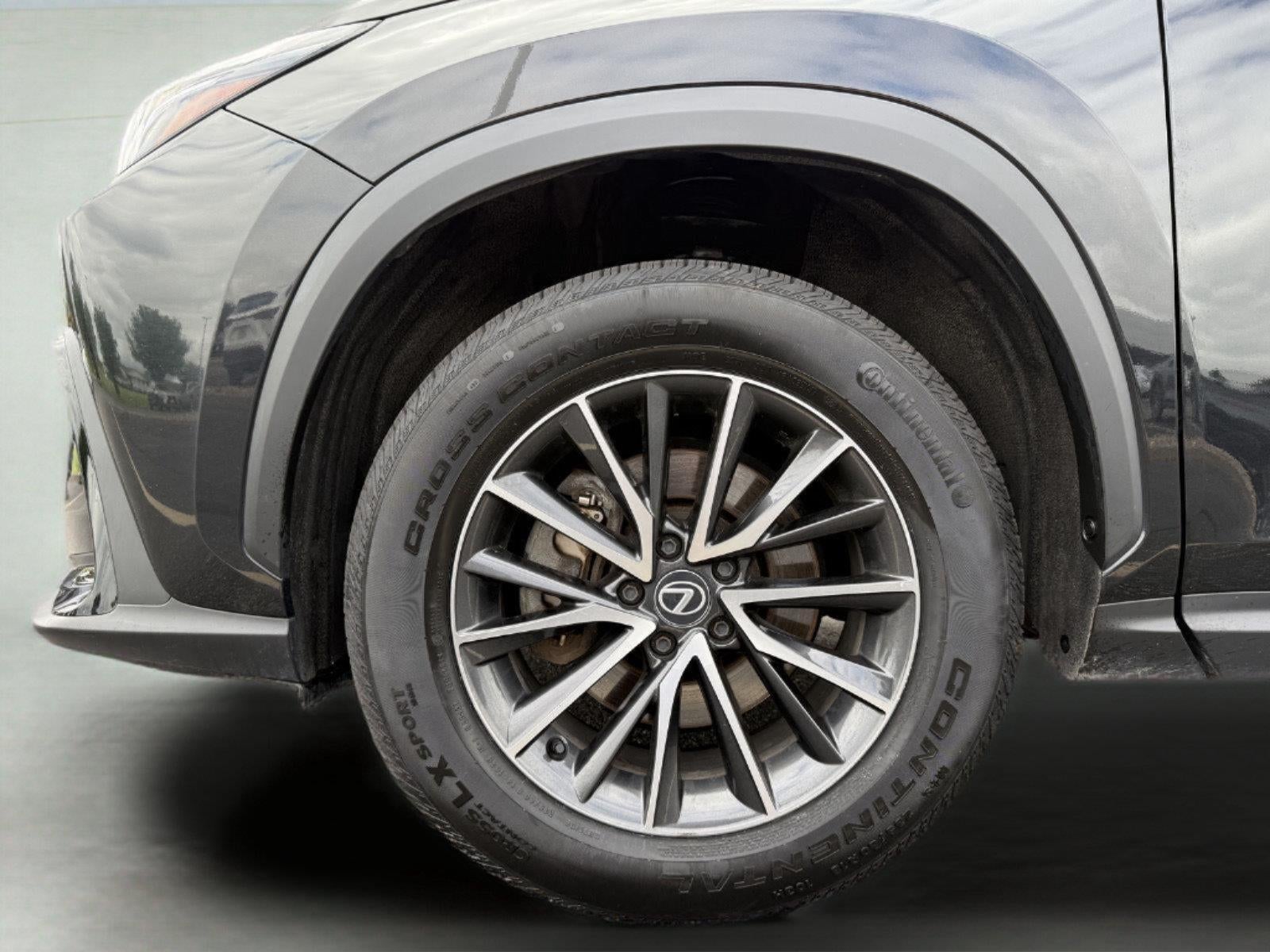 2024 Lexus Nx 350 Premium