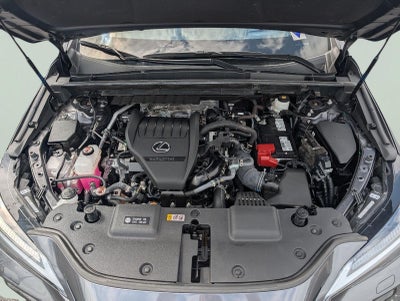 2024 Lexus NX 350 F SPORT Handling