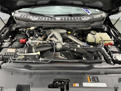 2025 Ford F-250 Platinum